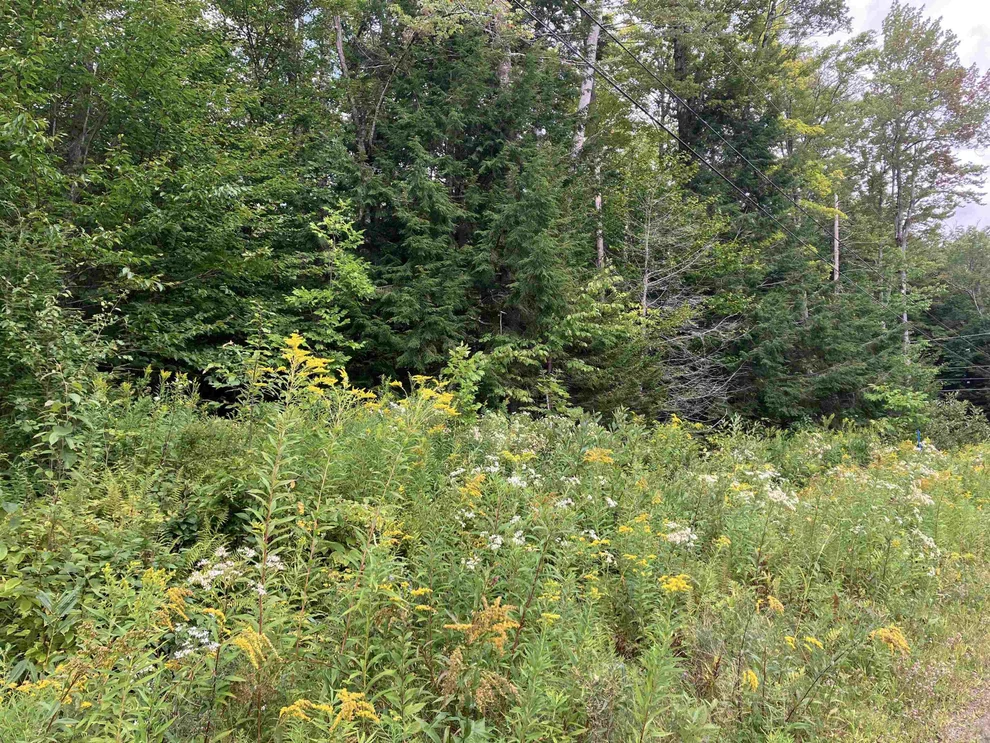 Unit for sale at 925 Porcupine, Wilmington, VT 05363