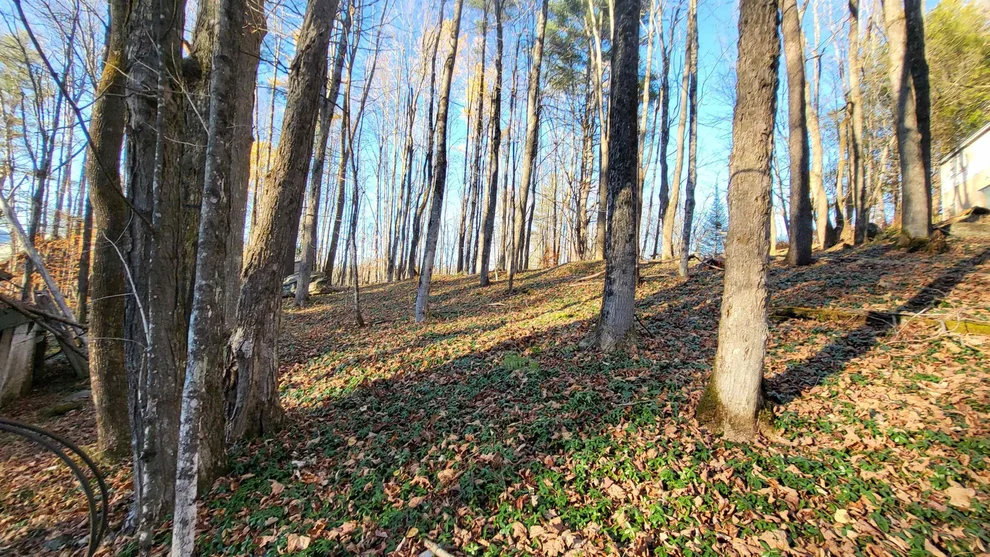Unit for sale at 535 Collar Hill, Calais, VT 05648