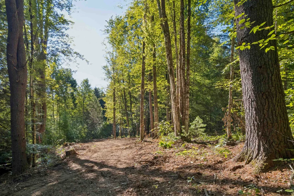Unit for sale at 0 Charlestown, Springfield, VT 05156