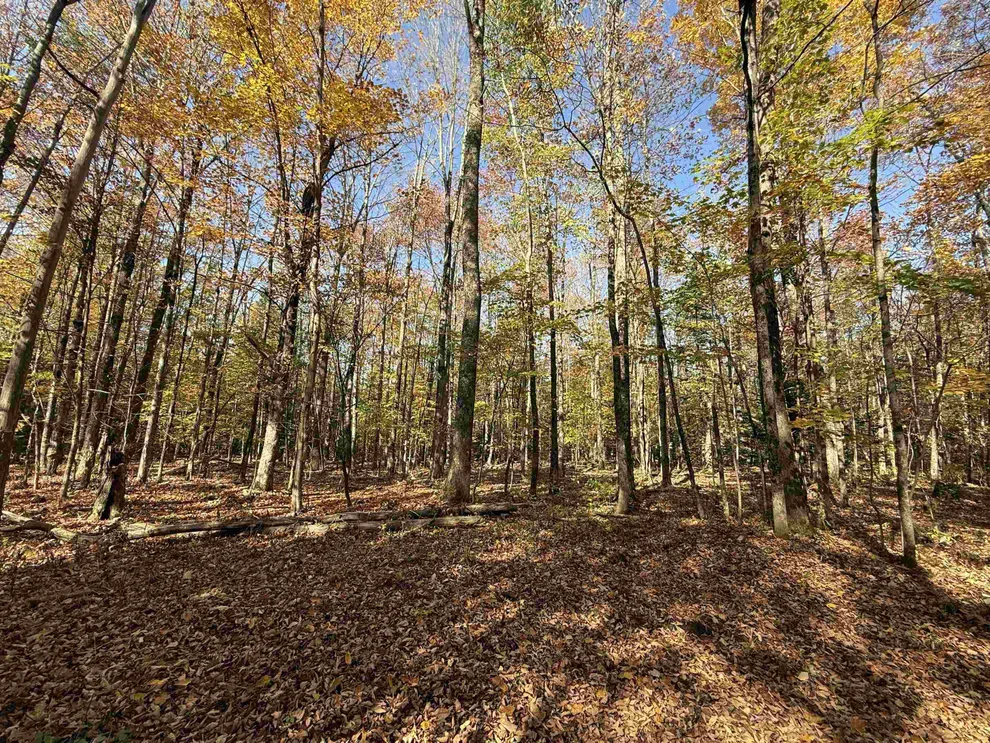 Unit for sale at 1414 Collins Mill, Newport Town, VT 05857