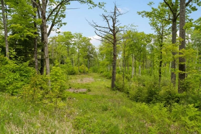 Unit for sale at 00 Canaan, Canaan, NH 03741