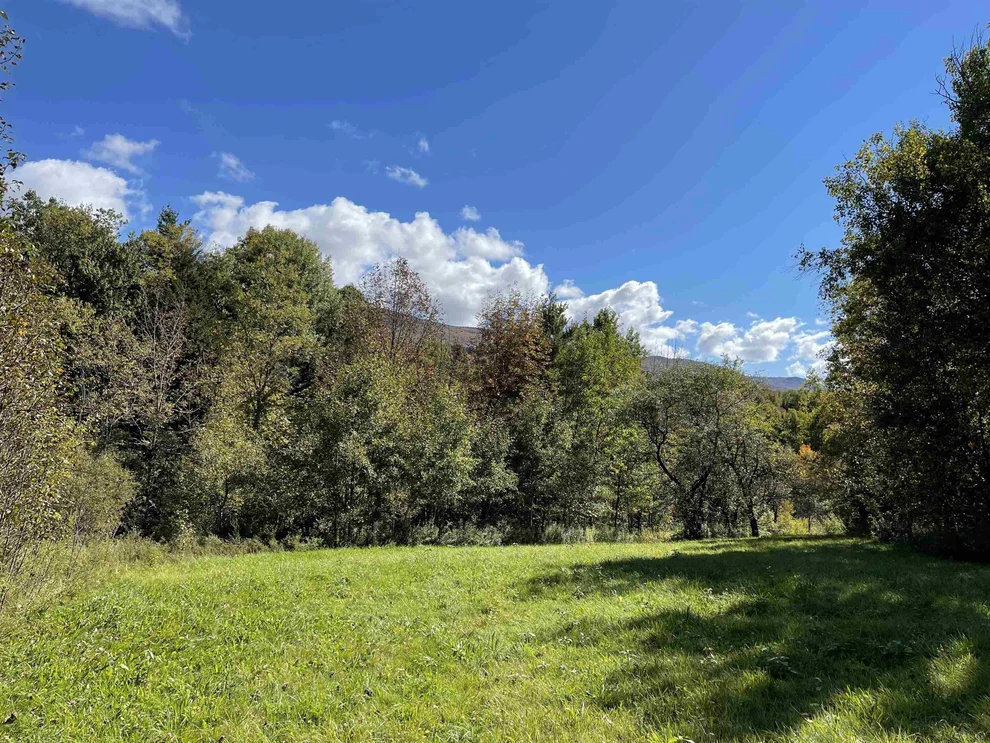 Unit for sale at 3003 East Warren, Waitsfield, VT 05673