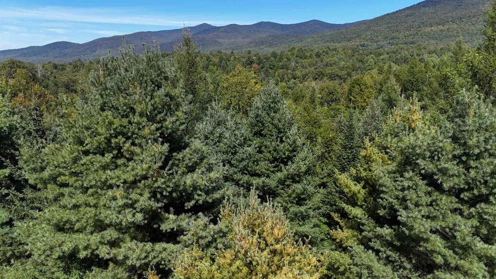 Unit for sale at Lot 1 Bone Brook, Lancaster, NH 03584