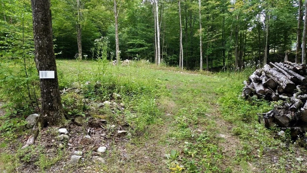 Unit for sale at 0 Pasquale, Chittenden, VT 05737