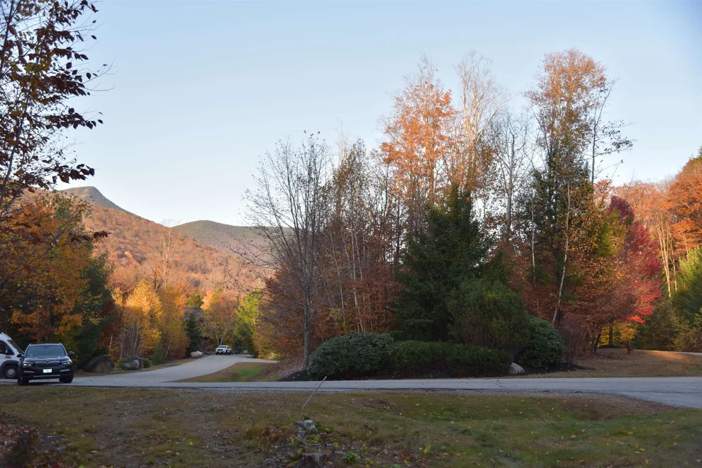 Unit for sale at 16 Yellow Birch, Lincoln, MA 02351