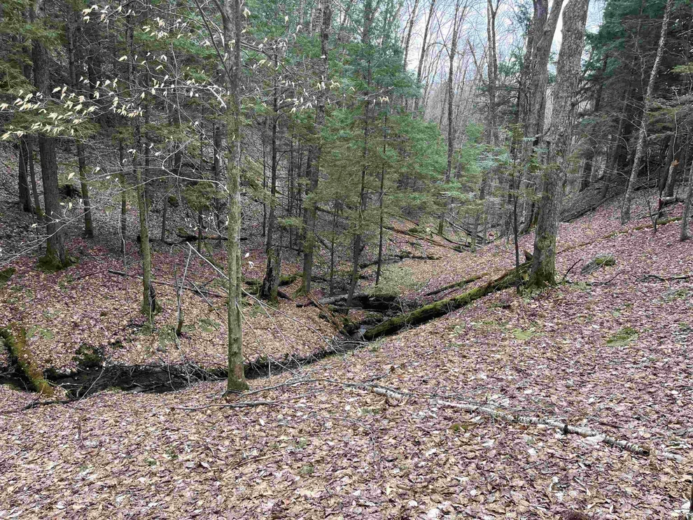 Unit for sale at Lot 4 Haley, Hyde Park, VT 05655