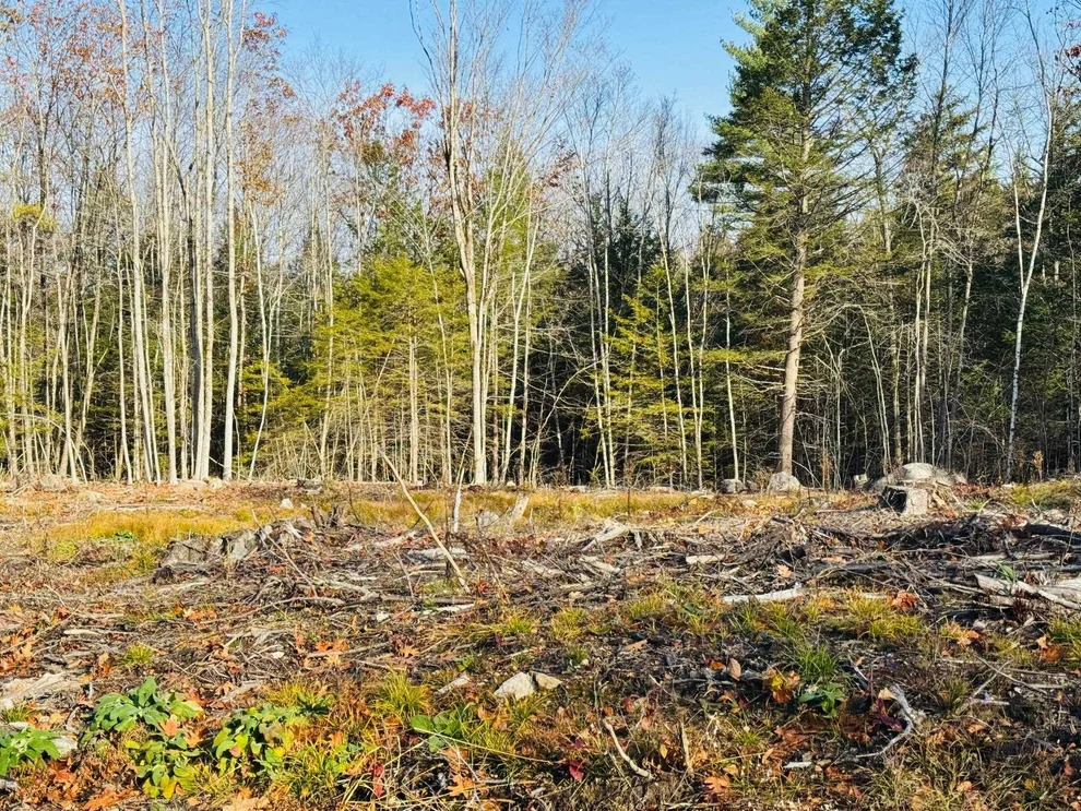 Unit for sale at Lot 70 Homestead, Barrington, NH 03825