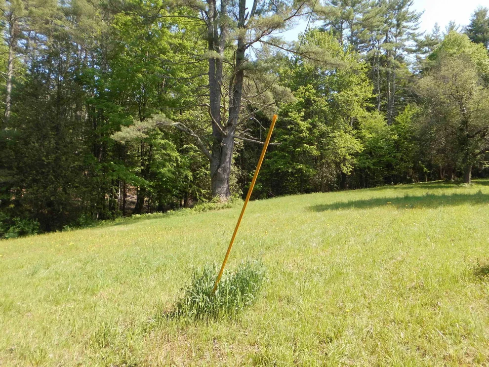 Unit for sale at 0090 Rosewood, Castleton, VT 05735