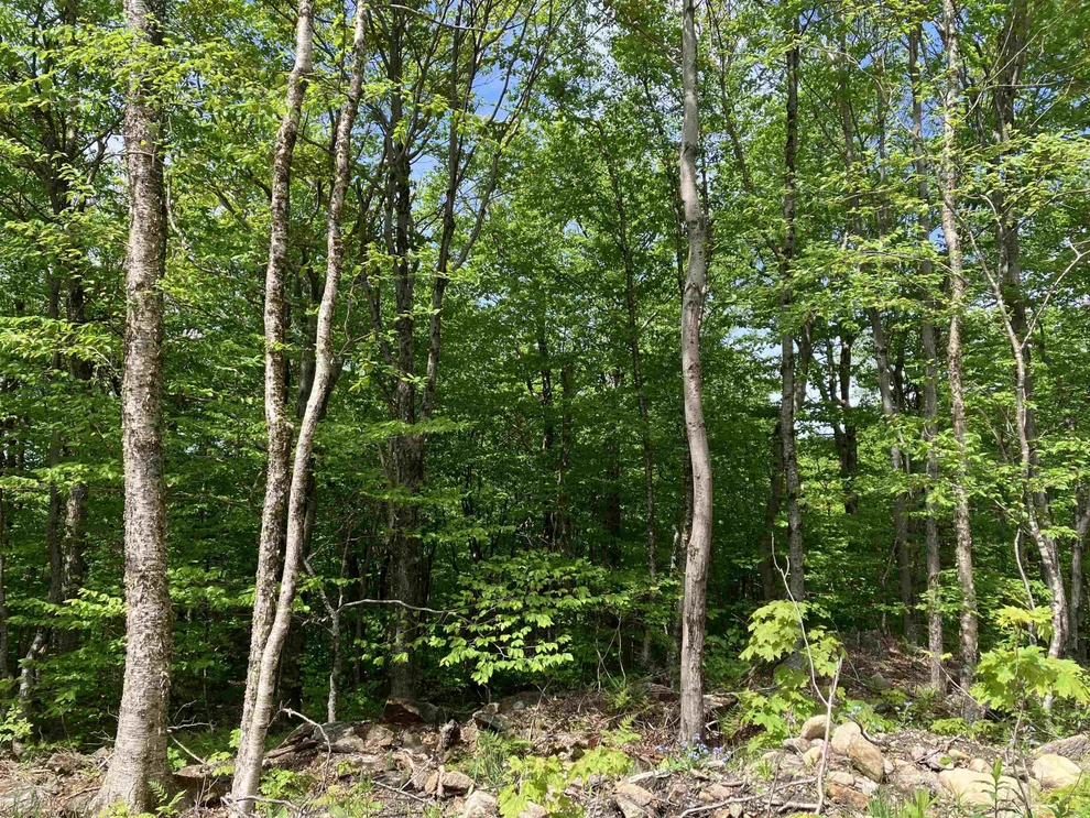 Unit for sale at 402 Fox Mt., Wilmington, VT 05363