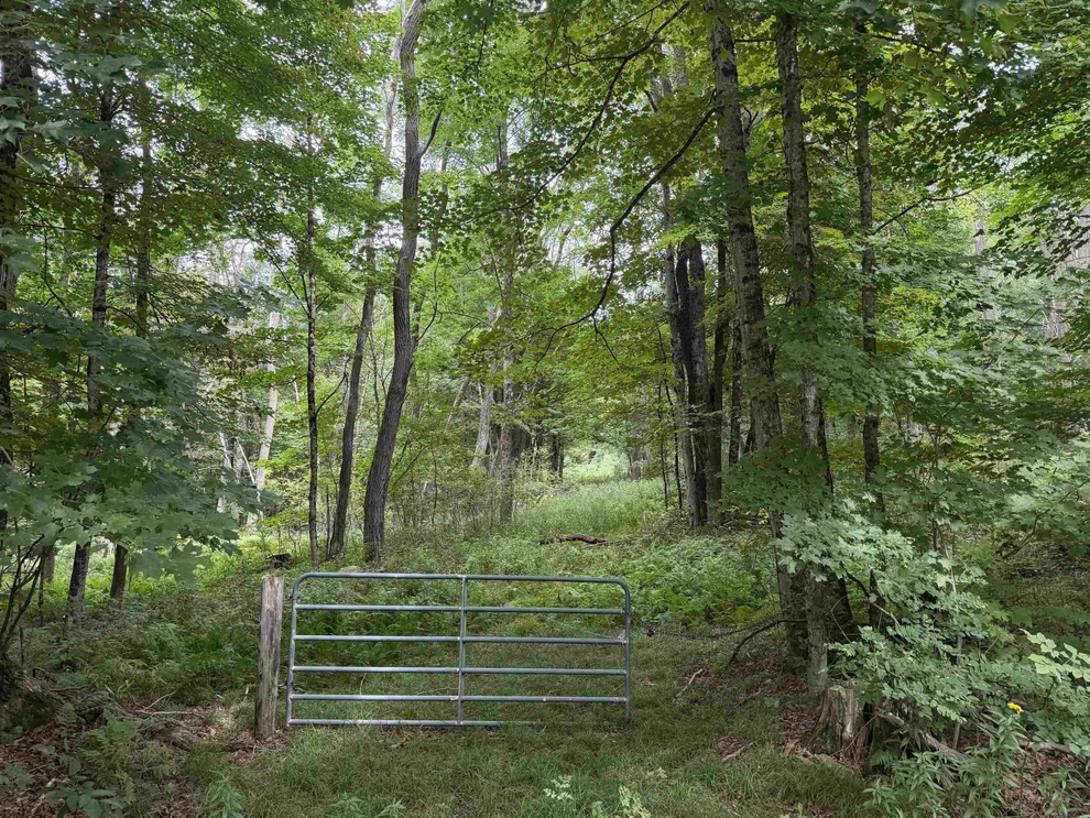Unit for sale at 700 Taplin Hill, Corinth, VT 05039