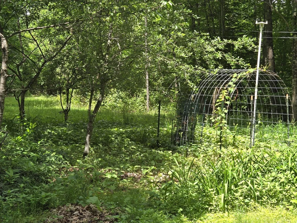 Unit for sale at 208 NH Route 3A, Hill, NH 03243