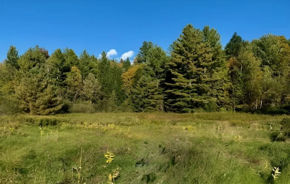 Unit for sale at 843 River, Troy, VT 05859