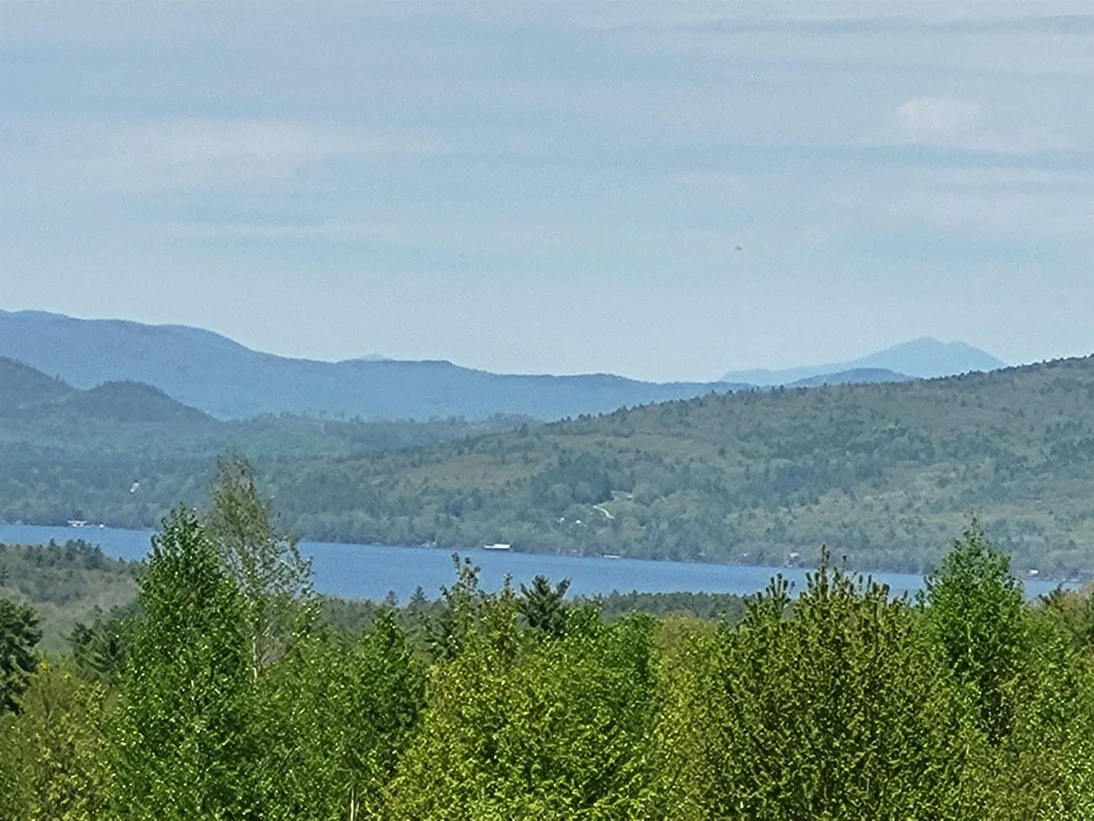 Unit for sale at 390 Mathews, Alexandria, NH 03222