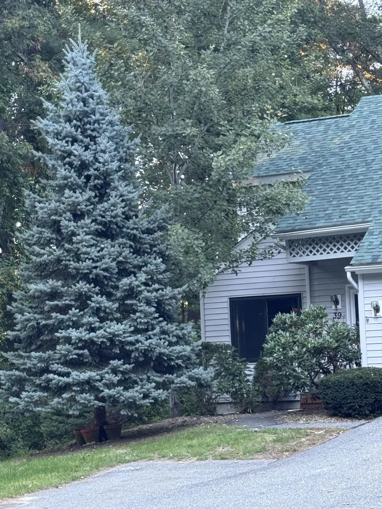 Unit for sale at 39 Aspen, Atkinson, NH 03811