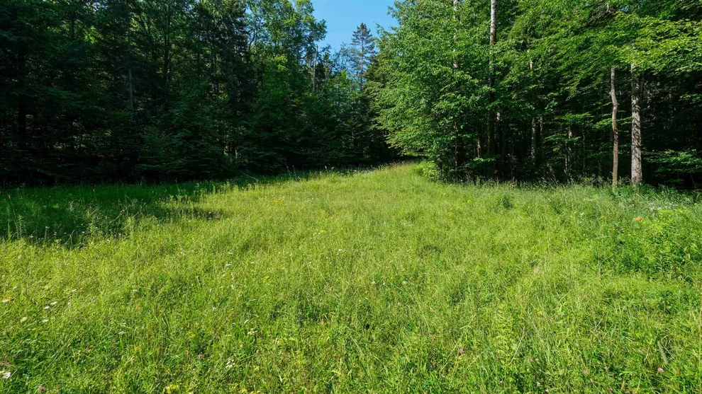 Unit for sale at 0 Berry Patch, Ludlow, VT 05149