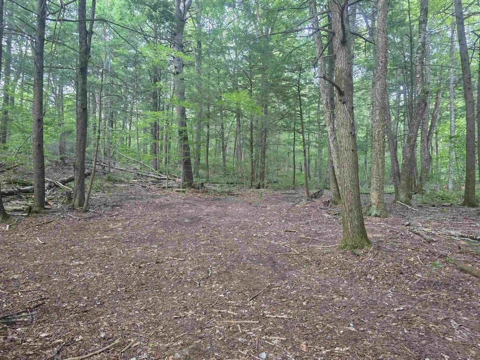 Unit for sale at Off Robin Hill, Townshend, VT 05359
