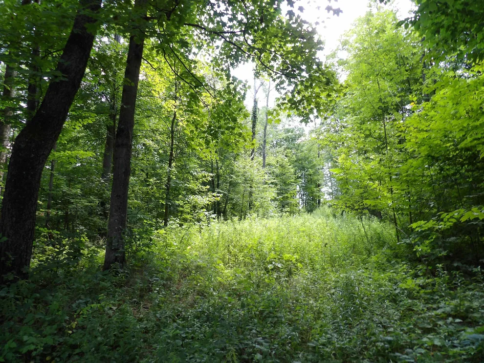 Unit for sale at 20 Center, Proctor, VT 05765