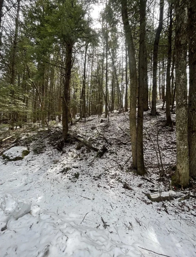 Unit for sale at 000 Hinkley Brook, Grafton, VT 05146