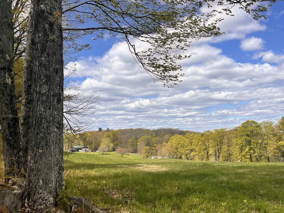 Unit for sale at 119 Advent Hill, Hartland, VT 05048