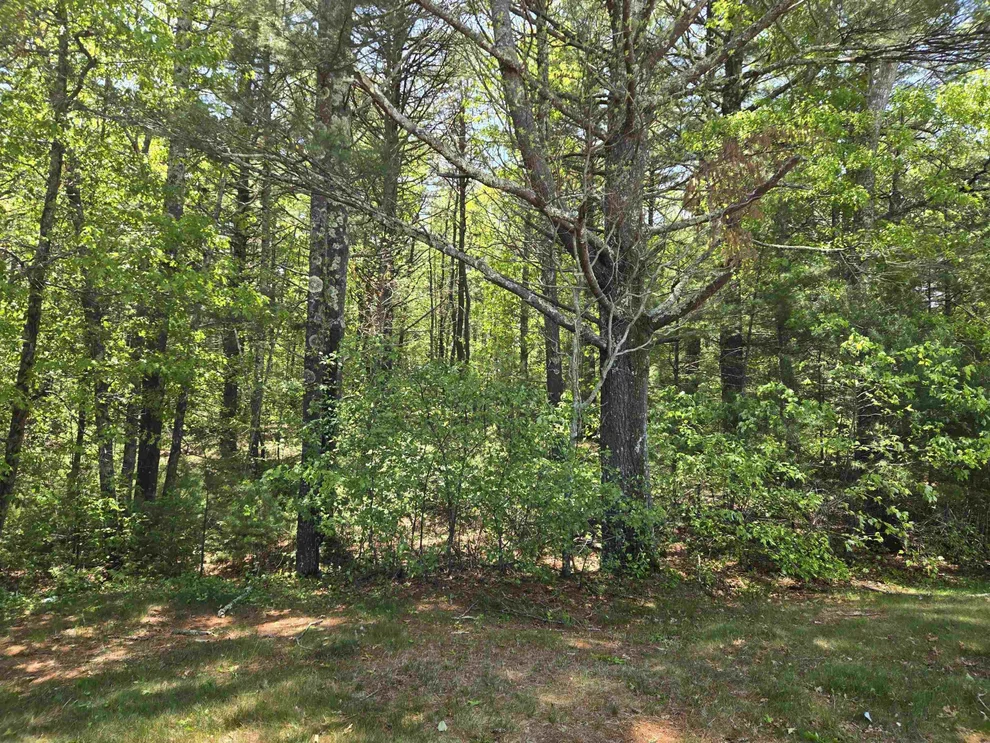 Unit for sale at 10 Issax Fox, Campton, NH 03223