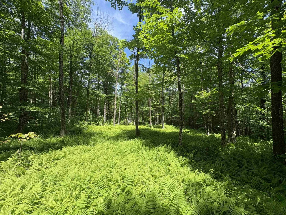 Unit for sale at 7601 VT Route 105 E, Jay, VT 05859