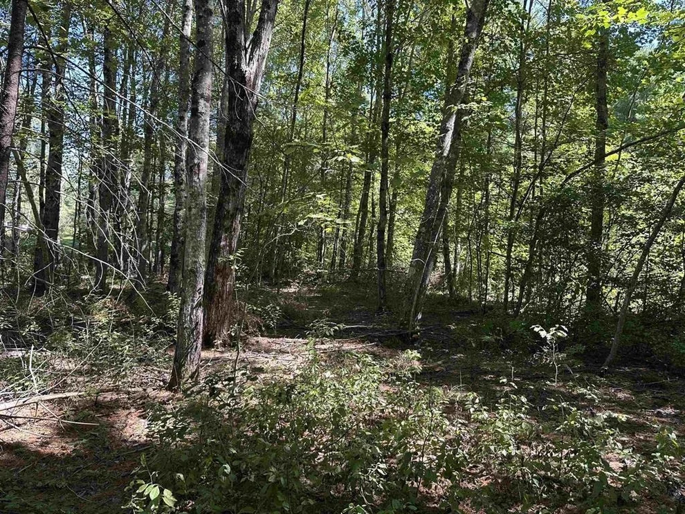 Unit for sale at 12 Baxter, Alton, NH 03809