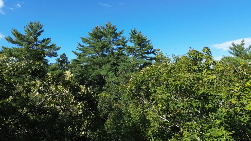 Unit for sale at 65 Case, Nottingham, NH 03290