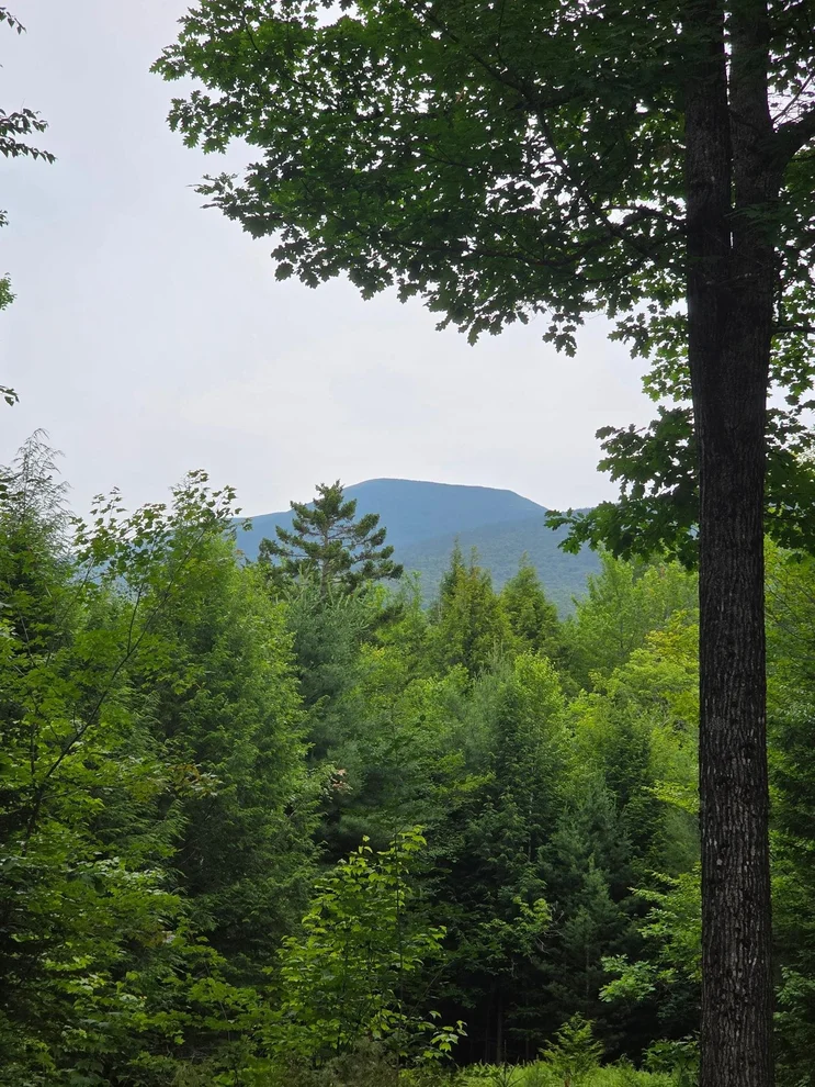 Unit for sale at 00 Stimson, Warren, NH 03279
