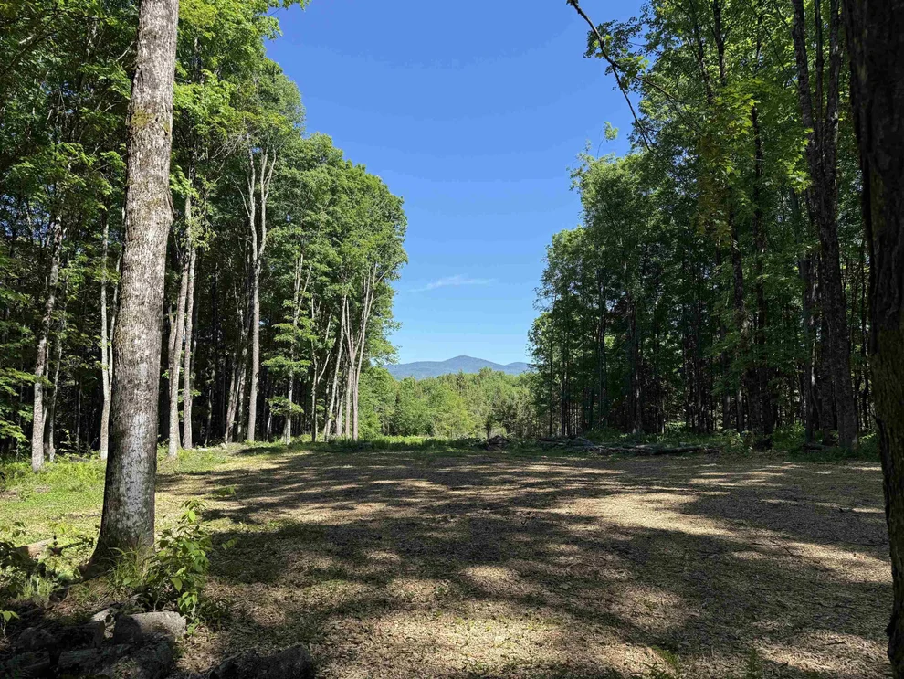 Unit for sale at 00 VT Route 14, East Montpelier, VT 05651