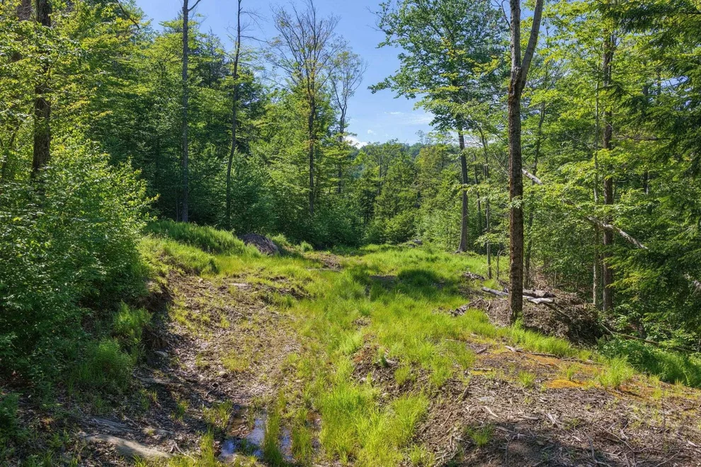 Unit for sale at 381 Whitaker Farm, Marlboro, VT 05344