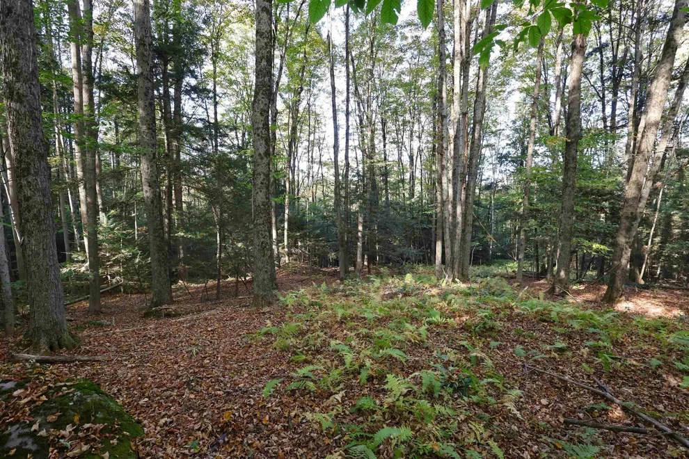 Unit for sale at 0 Woodlawn, Hartford, VT 05001