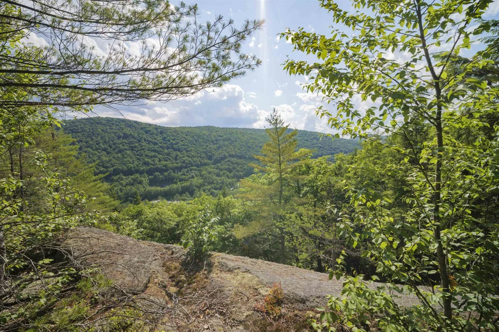 Unit for sale at 00 Howe Farm, Jamaica, VT 05343
