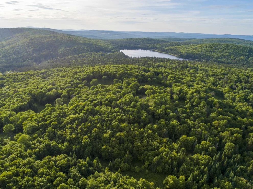 Unit for sale at 7 Diamond Pond, Stewartstown, NH 03576