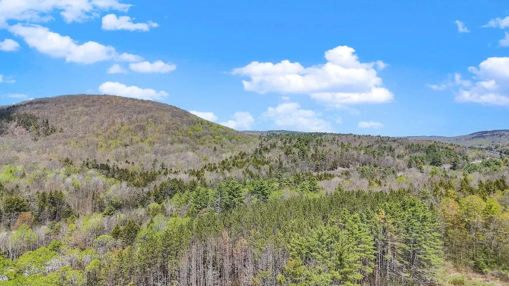 Unit for sale at 991 Route 10 N, Grantham, NH 03753
