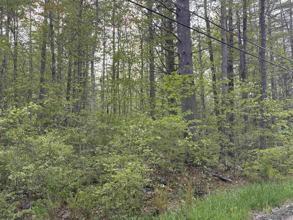 Unit for sale at Lot 80 Currier, Candia, NH 03034