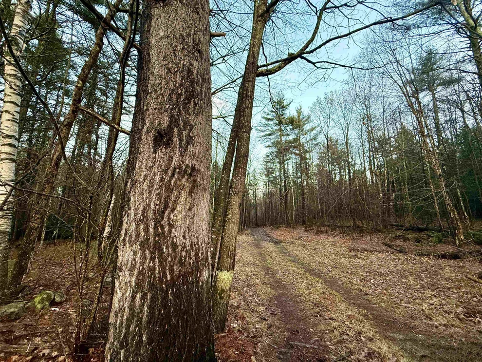 Unit for sale at West Hill, Troy, NH 03465