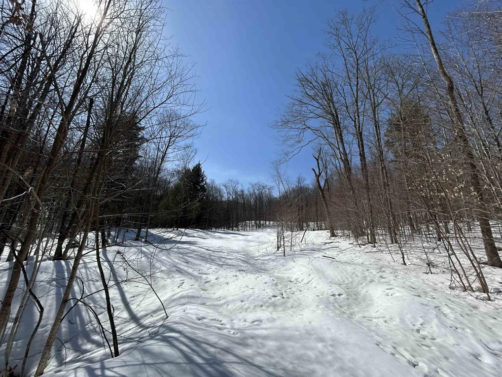 Unit for sale at Lot #4 Margeaux, Stratton, VT 05155
