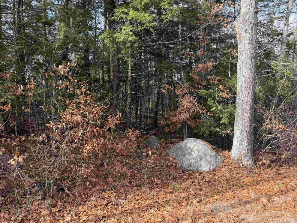 Unit for sale at Map 29 Lot 5-1 Middleton, Milton, NH 03851