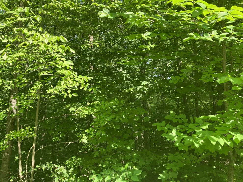 Unit for sale at 28 Upper Howes, Wilmington, VT 05363
