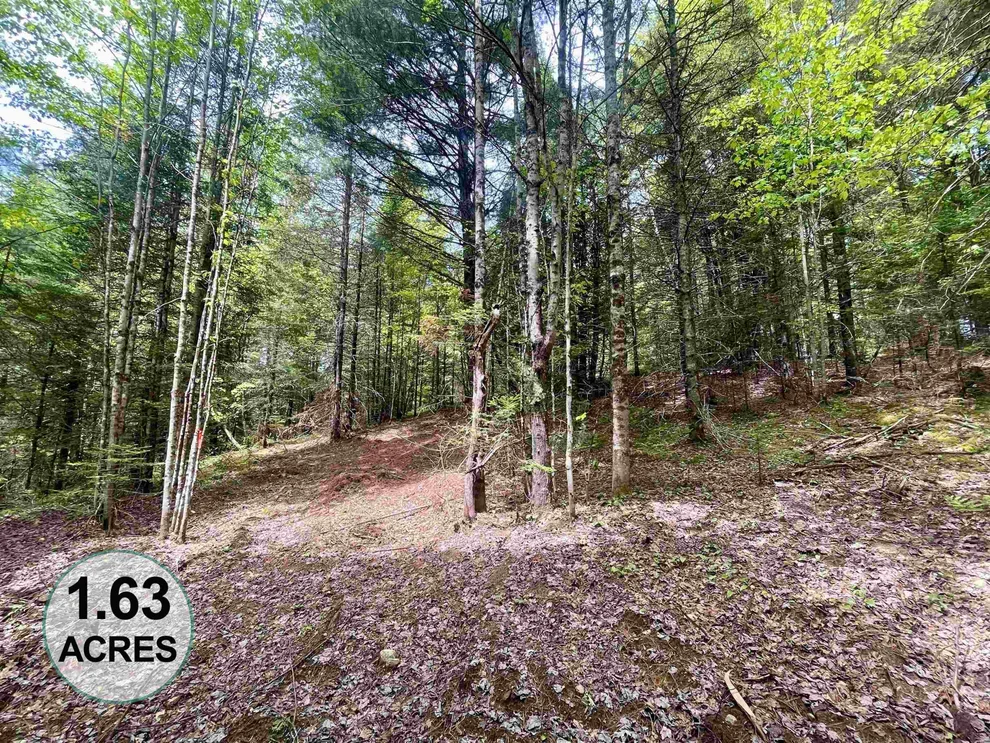 Unit for sale at 00 Marshall Newland, Burke, VT 05832