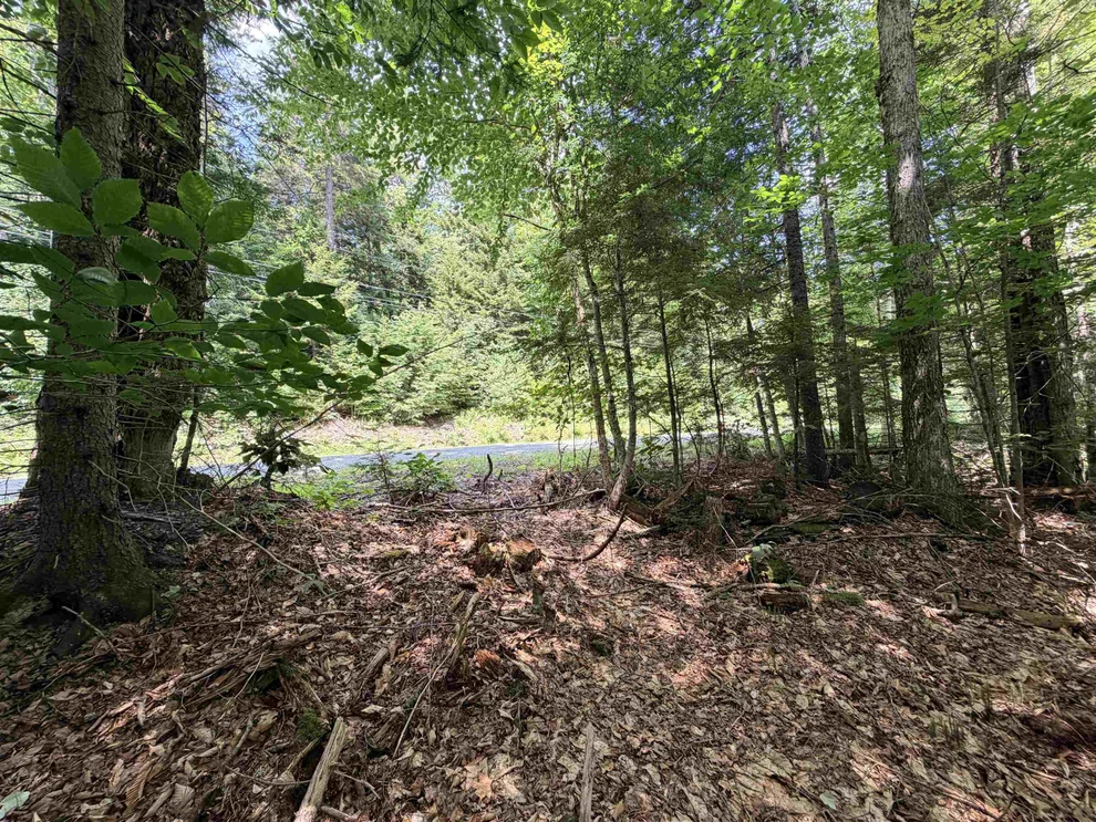 Unit for sale at 56 & 57 Boardman, Wardsboro, VT 05355