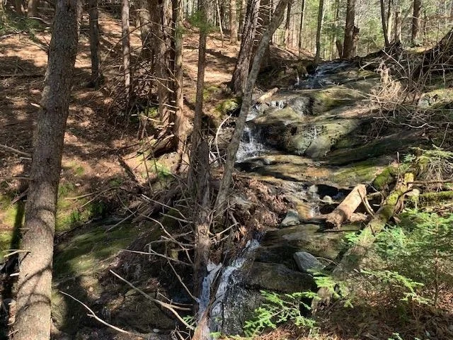 Unit for sale at TBD VT Rt 100, Warren, VT 05674