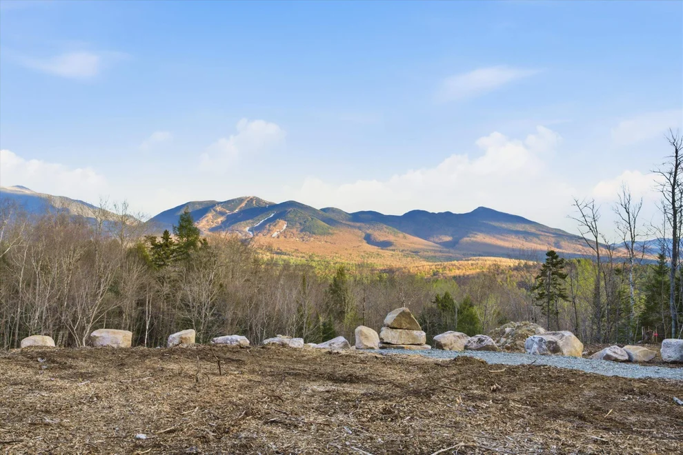 Unit for sale at 0 Forest, Franconia, NH 03580
