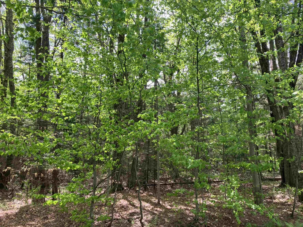 Unit for sale at 118 High Top, Wilmington, VT 05363