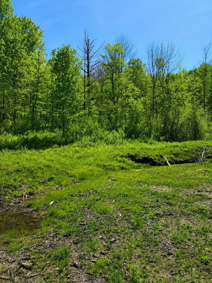 Unit for sale at 0 Blake Hill, Woodbury, VT 05681
