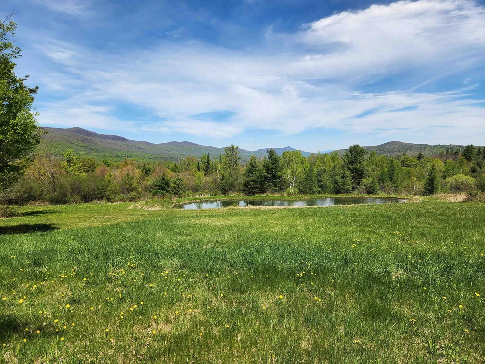 Unit for sale at 3517 Colvin Hill, Danby, VT 05739