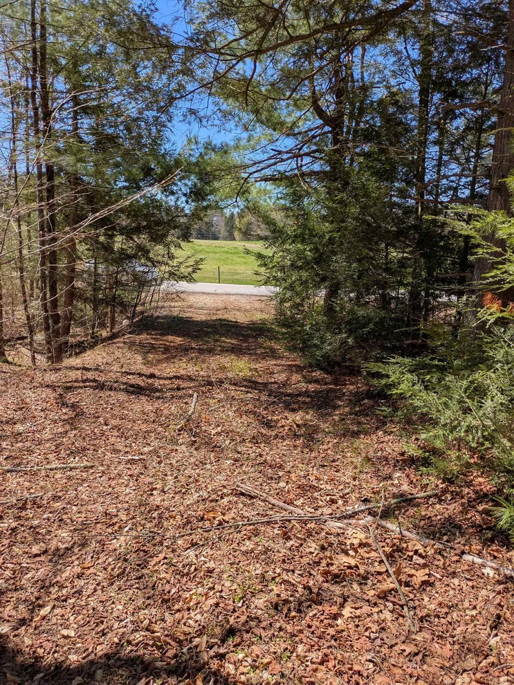 Unit for sale at South Scofield Mountain, Winchester, NH 03470