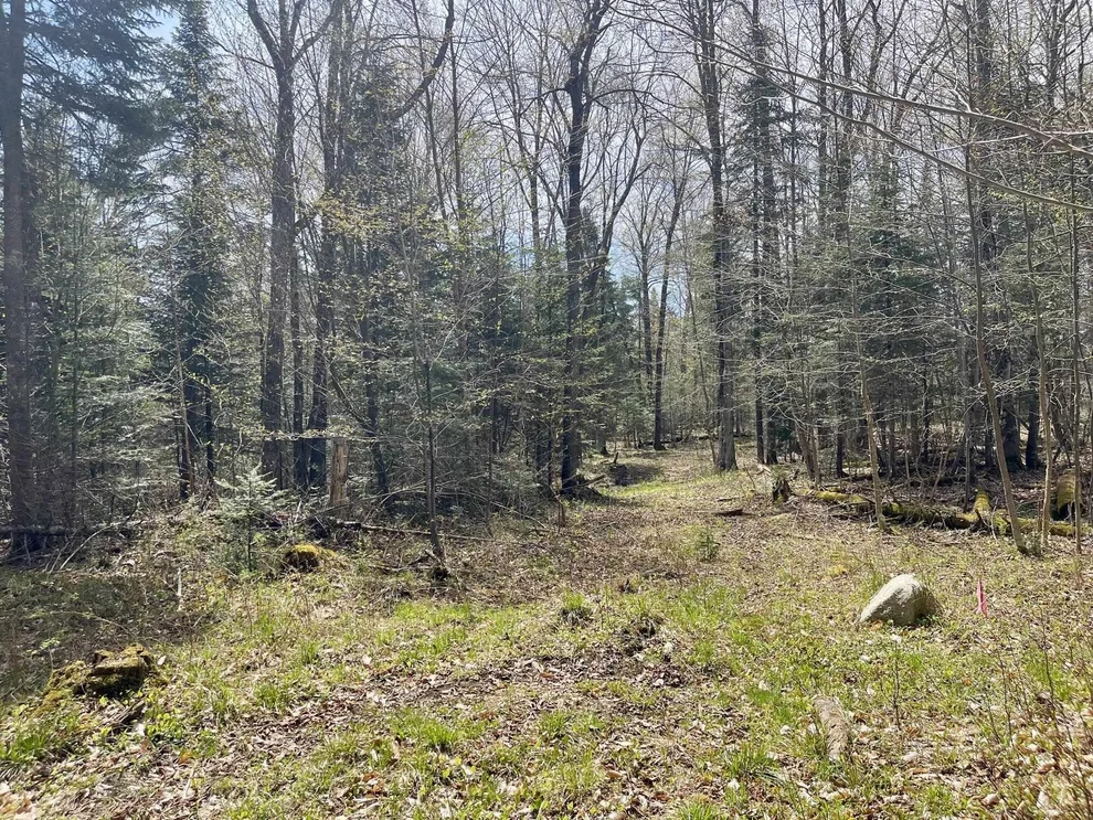 Unit for sale at 00 Peene Hill, Westmore, VT 05822