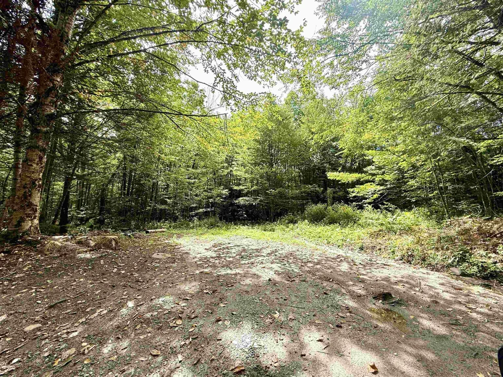 Unit for sale at 34 Perry, Lunenburg, VT 05906