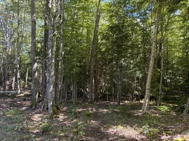 Unit for sale at Lot 5 Partridge, Jackson, NH 03846